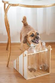 Check spelling or type a new query. Diy Dog Puzzles