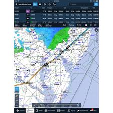 Foreflight App Pro Plus Subscription