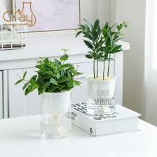 Jan 19, 2021 · water the plant you intend to divide the night before to soften the soil and hydrate its roots. China Hot Sale Indoor Self Watering Decorative Plant Pot Clear Glass Flower Pot China Plant Pot And Ceramic Plant Pot Price