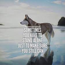 Pin On Motivation