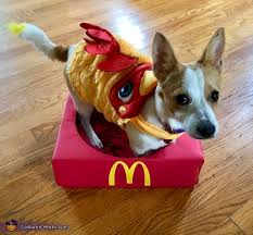We did not find results for: Chicken Nugget Dog Costume