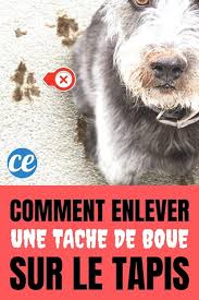 Tache de terre sur coton. Comment Enlever Une Tache De Boue Sur Un Tapis Sans Frotter