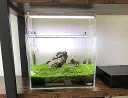 After 75 gallons (283.9 l), the next most common aquarium size is usually 125 gallons (473.2 l). 2 Gallons Fish Tanks And Aquariums Ratemyfishtank Com