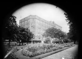 133 elizabeth st 2000, sydney, new south wales, australia. In The Catalogue Vanessa Berry On Department Store Archives