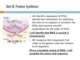 Depending upon the chemical nature of the template (dna or rna) and the nature of nucleic acids synthesized from it (dna or similarly, viruses grown on radioactive sulphur contained radioactive protein but not radio'active dna because dna does not contain sulphur. Unit 8 Protein Synthesis Ppt Download
