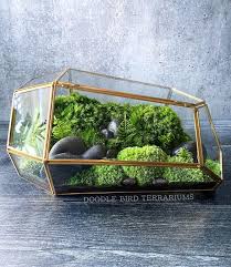 Large Geometric Moss Terrarium Case Etsy In 2020 Terrarium Moss Terrarium Closed Terrarium Plants