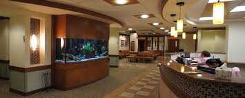 Aquarium decorations are a functional way to add your style to your tank while enhancing the living environment for your fish. Aqua Creations Custom Aquarium And Fish Tanks Design Installation And Maintenance In Ny Nj And Pa