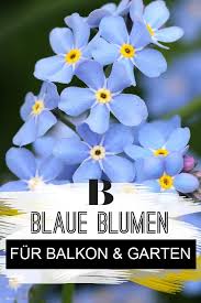 Blaue Blumen Und Pflanzen Blaue Blumen Blaue Pflanzen Pflanzen