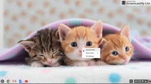 Download, share or upload your own one! Kitten Wallpaper For Chromebook Novocom Top