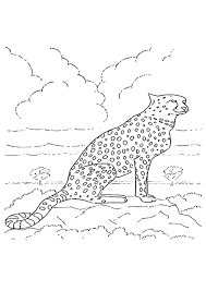 Gepard Ausmalbilder Malvorlagen 100 Kostenlos