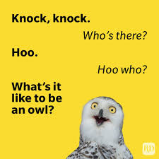 105 Funny Knock-Knock Jokes for Kids of All Ages