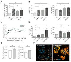 Handball wm 2021 logo pnghandball wm 2021 logo png. Cells Free Full Text Kupffer Cells Sense Free Fatty Acids And Regulate Hepatic Lipid Metabolism In High Fat Diet And Inflammation Html
