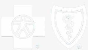 Maybe for you that means. Blue Cross Blue Shield Geo Blue Travel Insurance Transparent Png 1028x551 Free Download On Nicepng
