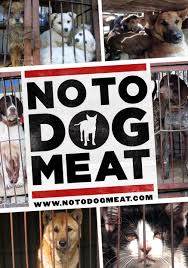 I Pledge Say No To Dog Meat On May 18th British Citizens And Uk Residents Help To Stop The Dog And Cat Meat Trade In Korea Dog Cat Stop