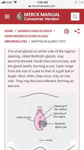 I had a bartholin cyst drained via incision a little over a week ago. Bartholin Cyst June 2019 Babies Forums What To Expect