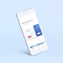 Tally advisor is like a robo advisor for credit card debt. Tally Review 2020 Smartphone App Helping You Dump Card Debt