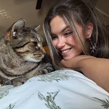 Cobweb spiders and false widow spiders are different species