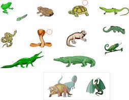 How well you know amphibians trivia, lets take the quiz on amphibians animal quizzes, kids general knowledge gk question answer professionals, teachers, students and kids trivia quizzes to test your knowledge on the subject. Fun Reptiles And Amphibians Quiz Free Online Quiz Questions Game For Kids With Score