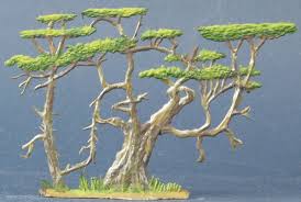 The acacia tortilis, the umbrella thorn acacia is a spiny, desert tree of sudanian origin that grows in israel in the hot areas of the judean desert and the eastern negev along with the spiraled species. Berliner Zinnfiguren Umbrella Thorn Acacia Purchase Online