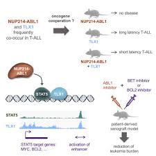 This image finder can find image sources over multiple search engines. Cooperative Enhancer Activation By Tlx1 And Stat5 Drives Development Of Nup214 Abl1 Tlx1 Positive T Cell Acute Lymphoblastic Leukemia Sciencedirect