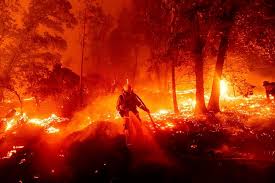 Kabupaten anggota ltkl yang memilih komitmen pencegahan kebakaran hutan dan lahan telah memulainya dengan berbagai program, seperti peningkatan kapasitas dan jumlah. Daerah Penghasil Anggur Terkenal Di California Alami Kebakaran Hebat Halaman All Kompas Com
