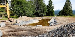 How to Dig a Pond with a Mini Excavator: Step-by-Step Guide