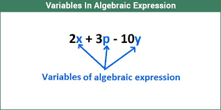 Maybe you would like to learn more about one of these? What Are Variables Constants Terms In Algebraic Expressions