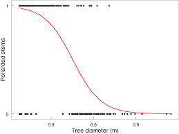 Image result for Pavetta gracillima