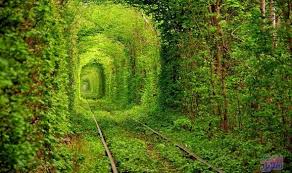 ابحث عن أحدث الوظائف الشاغرة في الشرق الأوسط على أكبر موقع للوظائف في الشرق الأوسط. Ø¬Ù…Ø§Ù„ Ø§Ù„Ø·Ø¨ÙŠØ¹Ø© ÙŠÙ…ØªØ²Ø¬ Ù…Ø¹ Ø§Ù„ÙƒÙ†ÙˆØ² Ø§Ù„Ø£Ø«Ø±ÙŠØ© ÙˆØ§Ù„Ø«Ù‚Ø§ÙÙŠØ© ÙÙŠ Ù„Ø§ÙŠÙ Ø³ØªØ§ÙŠÙ„