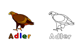 Kostenlose Malvorlage Arbeitsblatter Fur Kinder Ausmalbild Adler Zum Ausmalen
