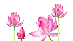 Je désire que nous ne pouvoir) pas nous passer l'un de l'autre.помогите. Daqqo6beemmvfm