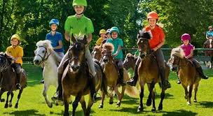 Notre club équestre vous est ouvert toute l'année où des cours. Val D Oise Equitation Un Ete S Ouvre Aux Passionnes De Chevaux La Gazette Du Val D Oise