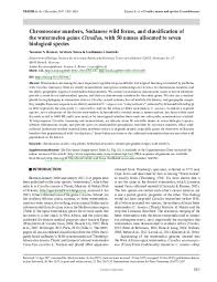 Image result for Raphidiocystis jeffreyana