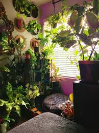 Moss was collected from outside of my home. Plant Aesthetic Explore Tumblr Posts And Blogs Tumgir