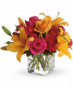 You could enjoy a lovely dinner with friendly staff at any of the local restaurants, i recommend the. Flowers To Stuart Florida Fl Churches Temples Mosques Synagogues And Wedding Chapels Same Day Delivery By A Local Florist In Stuart