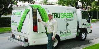 It's not worth the money if it's a small amount of service that is required and as few simple works like removing weeds can be. Is Trugreen Worth The Money Faqwalla