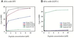 Untuk log in akaun spa, pastikan anda telah mendaftar pekerjaan dalam perkhidmatan awam secara atas talian. Farnesyl Transferase Inhibitors Block The Farnesylation Of Cenp E And Cenp F And Alter The Association Of Cenp E With The Microtubules Journal Of Biological Chemistry