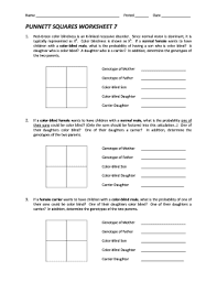 For every gene, different versions called alleles exist. Punnett Square Worksheet Fill Online Printable Fillable Blank Pdffiller