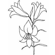 Check spelling or type a new query. Pin On Paper Art And Zentangles