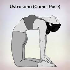 Meera watts is a yoga teacher, entrepreneur and mom. Ustrasana Camel Pose Steps Benefits And Precautions Nexoye