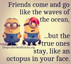 Contents 197 minions quotes on friendship 244 best friends minions. Friends Come And Go Quotes Quotesgram
