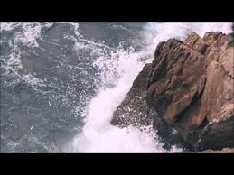 Image result for no Revelation 12 Great Eagle rescue Florida