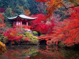 Kyoto In Color Kyoto Japan Kyoto Garden Places Around The World