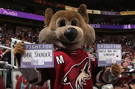 The coyotes' official kids club is called howler's kids club. Arizona Coyotes 2017 Season Preview Predictions Page 2