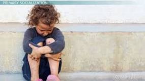 Image result for who wrote socialization and life course from a sociological perspective