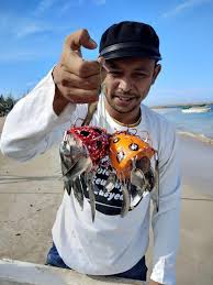 Maybe you would like to learn more about one of these? Cara Membuat Umpan Gurita Dari Kayu Masnurul