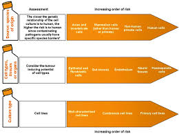 We did not find results for: Biosafety Recommendations On The Handling Of Animal Cell Cultures Springerlink