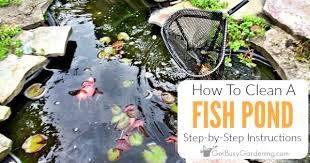 The topic of diy is very popular these days and i'm all for it because it helps people save money particularly those on a budget that are trying to keep the cost. Easy Diy Fish Pond Cleaning Instructions Get Busy Gardening