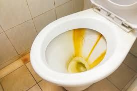 Cleans hard floors with extra power for carpets. Iron Rust In Water In Fargo Moorhead West Fargo Detroit Lakes