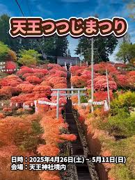 青森県十和田市から情報発信！とわこみゅ